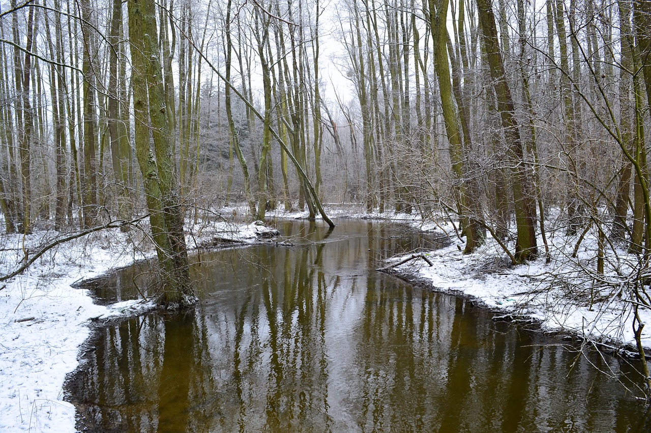 river winter snow free photo