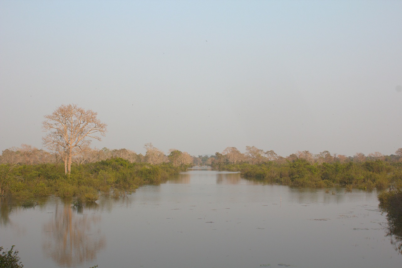 river stream lake free photo