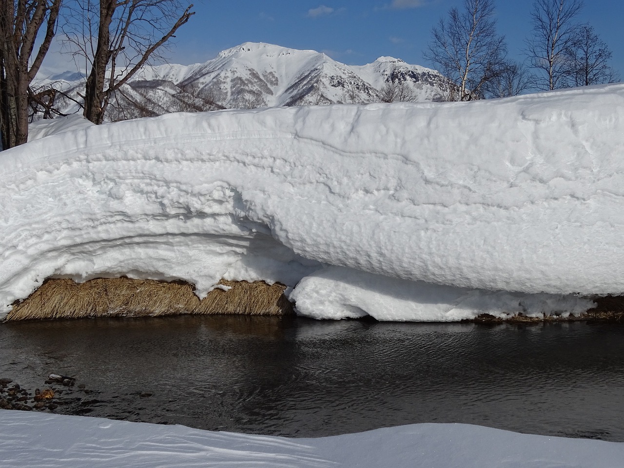 river hot springs creek free photo