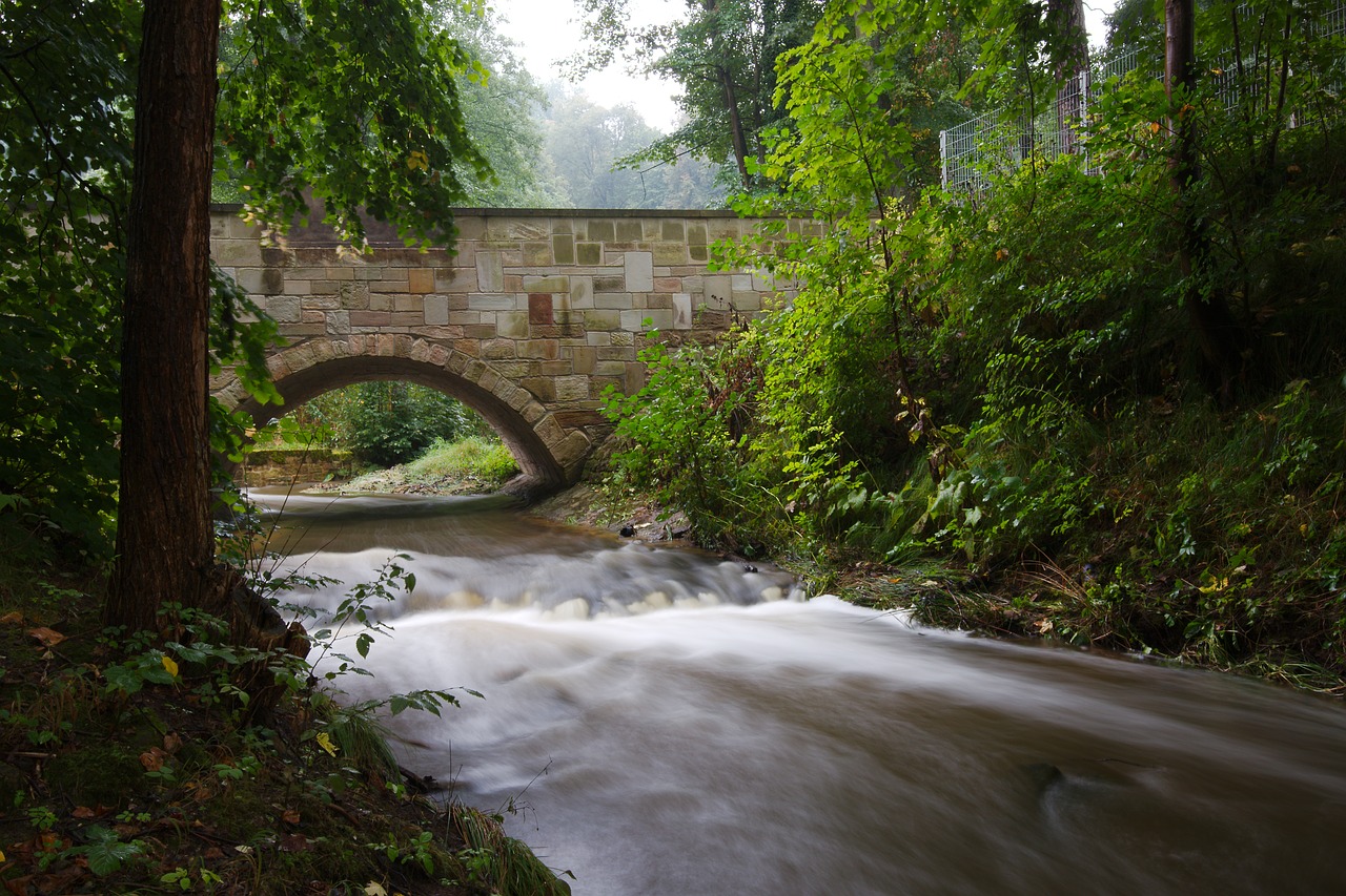 river  waters  nature free photo