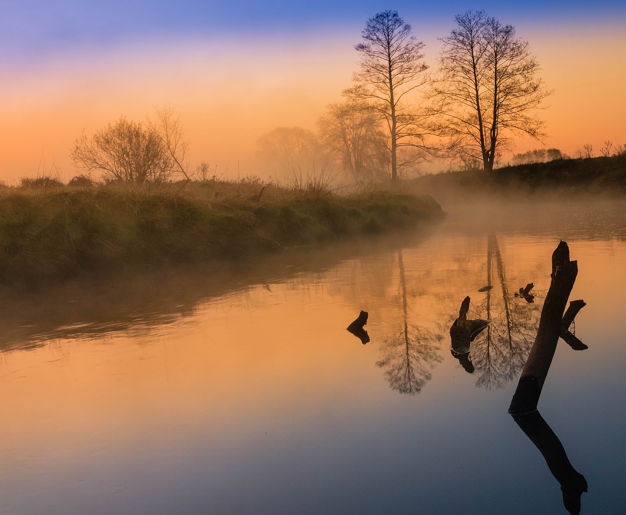 river  landscape  the fog free photo