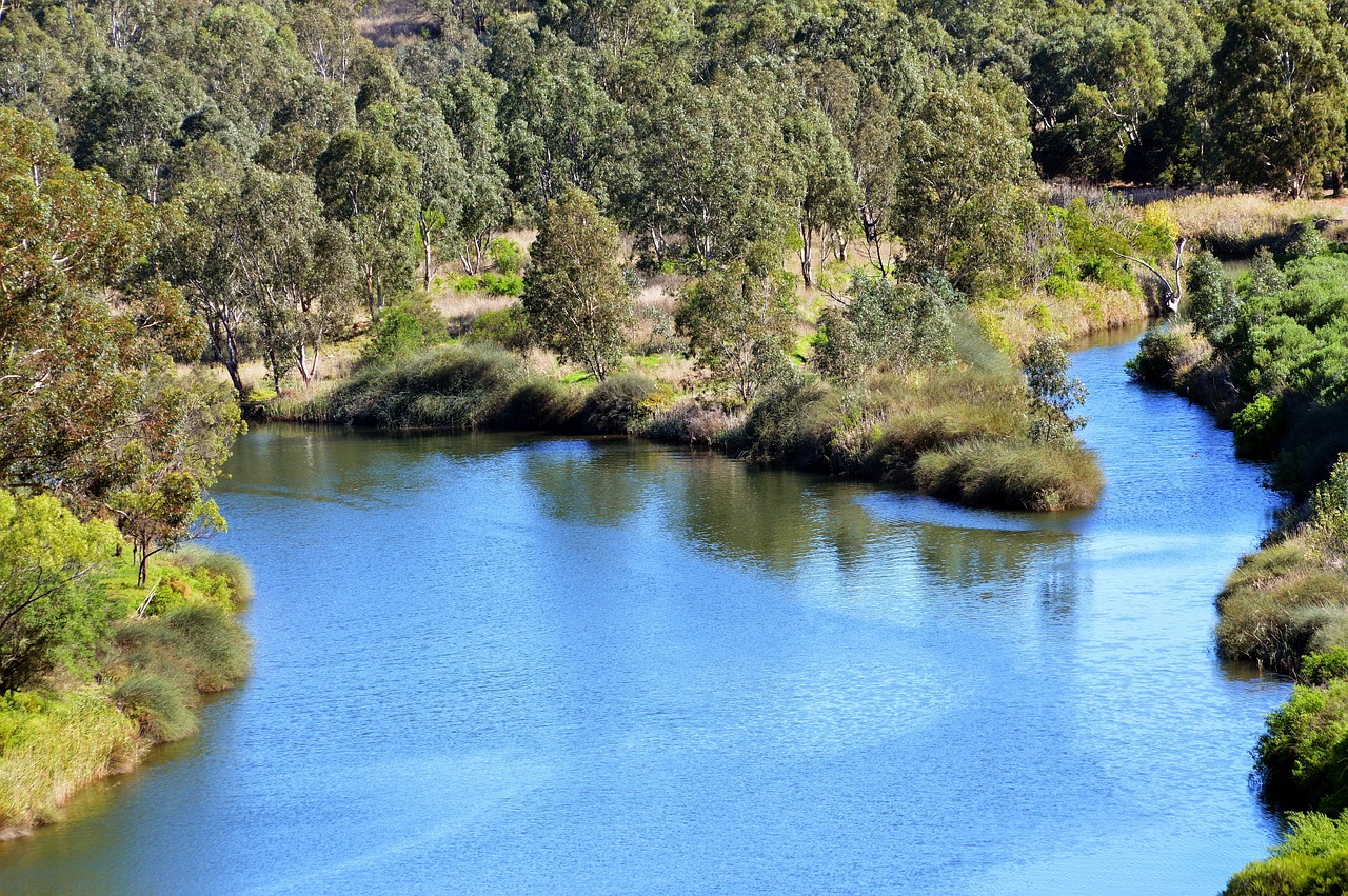 river australia water free photo