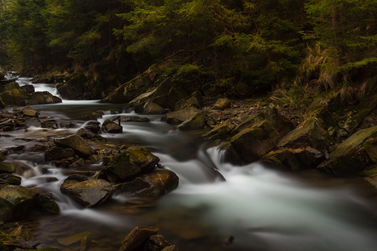river  torrent  forest free photo