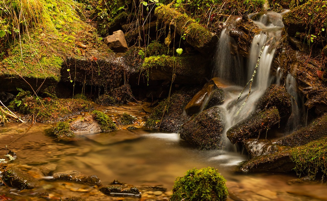 river  waterfall  torrent free photo