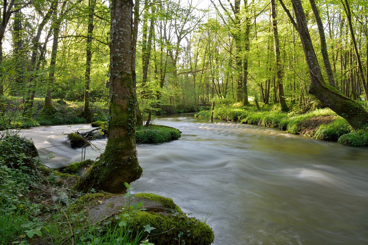 river  trees  nature free photo