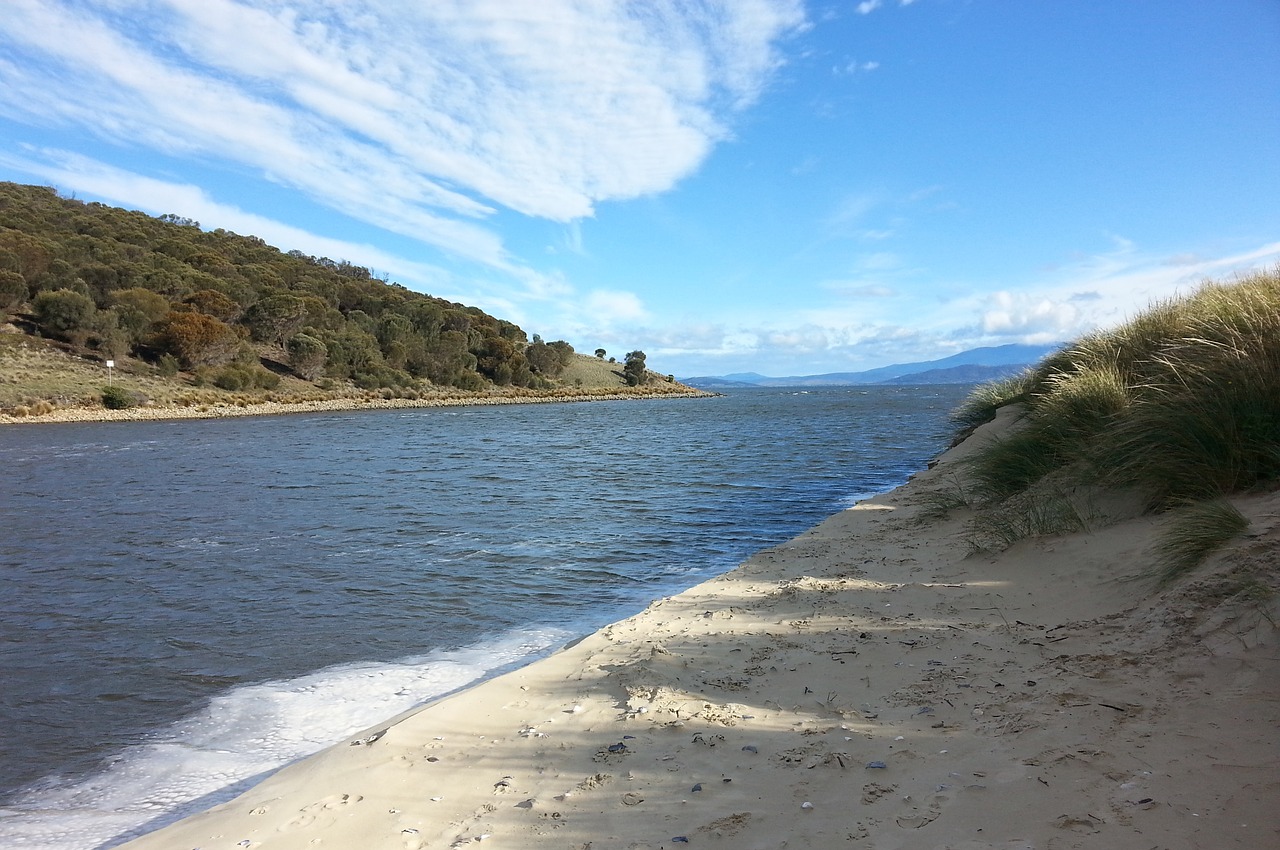 river  australia  tasmania free photo