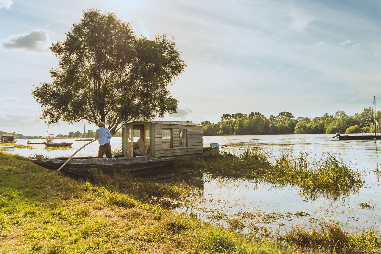 river  tree  boat free photo