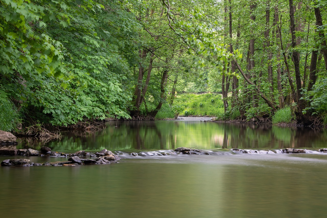 river  trees  bank free photo