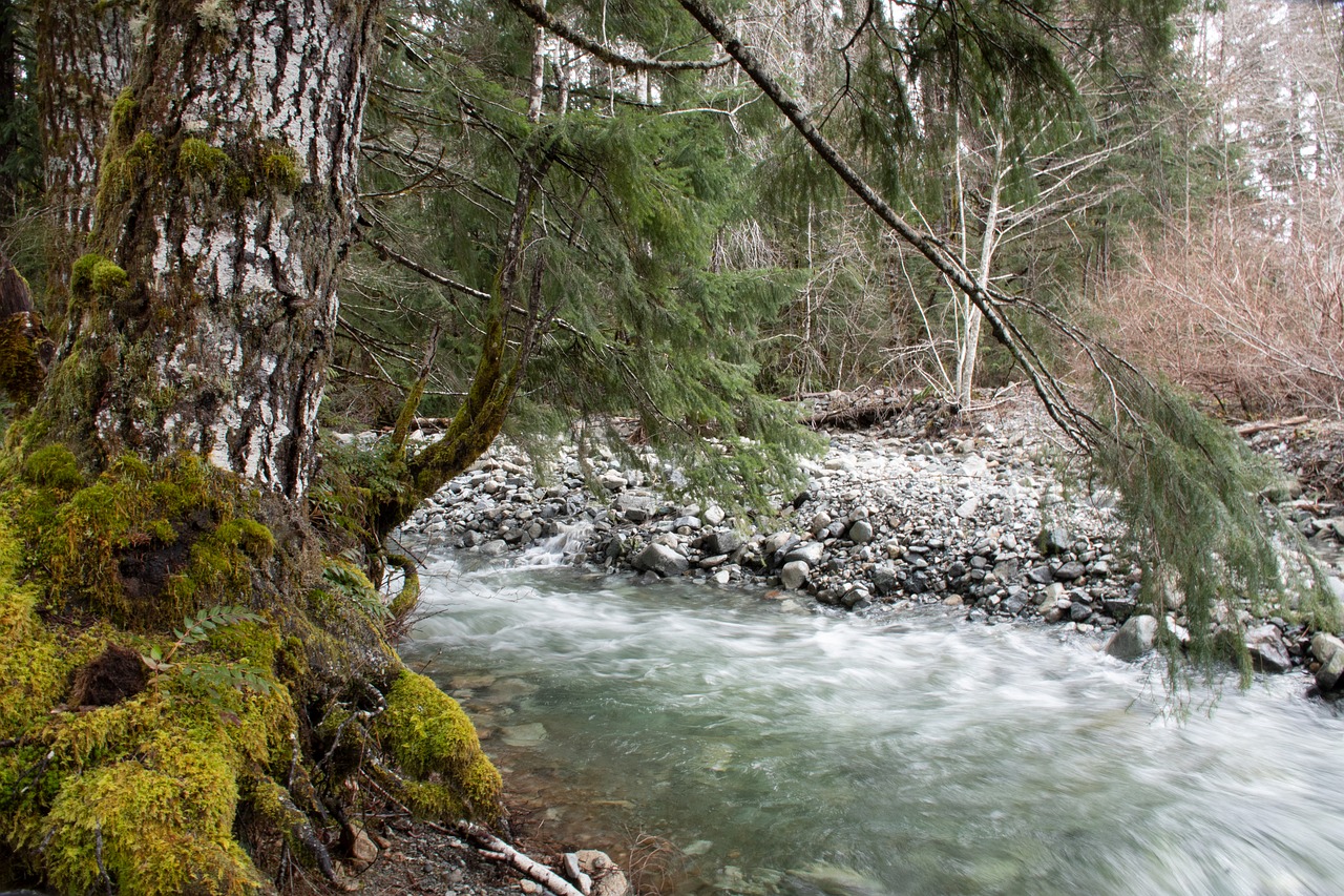 river  stream  water free photo