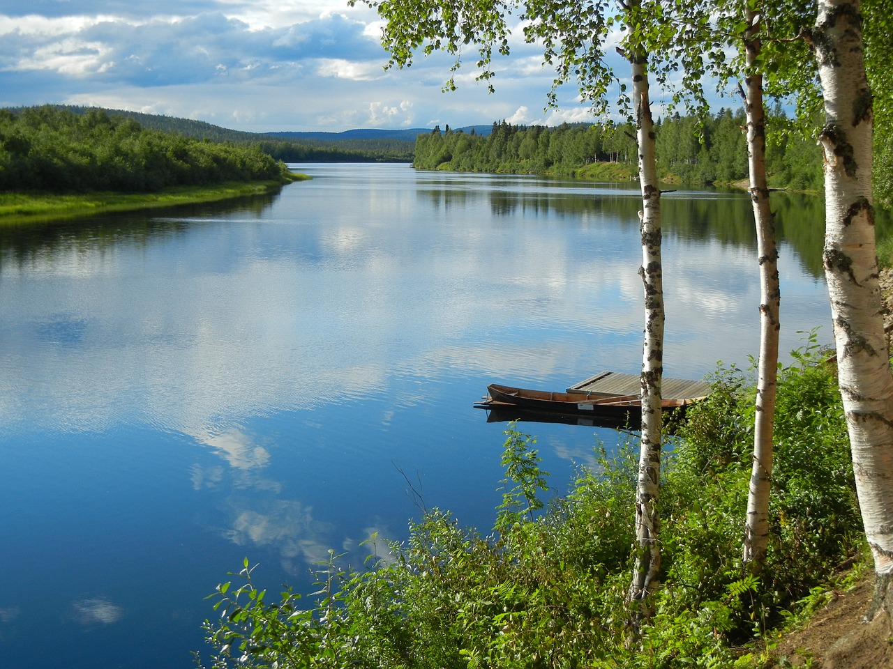 river  water  birch free photo