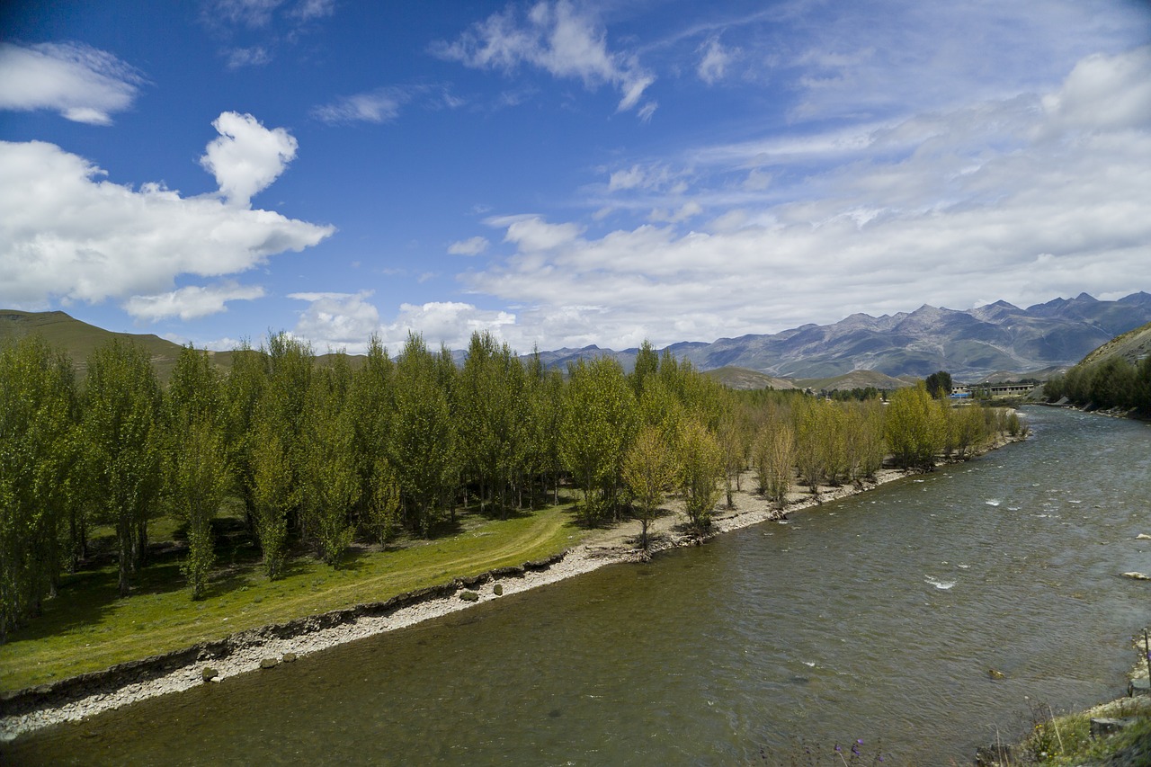 river  willow  blue sky free photo