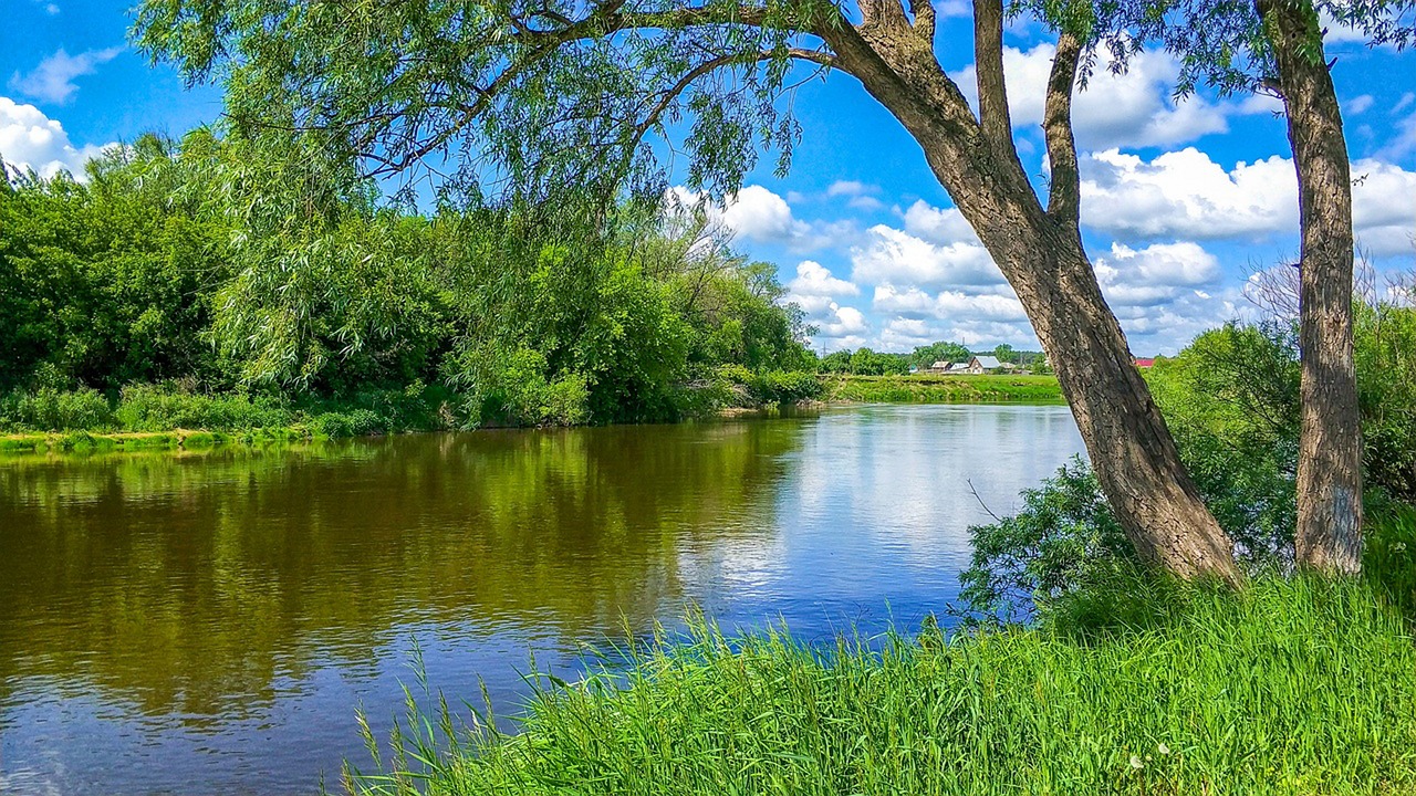 river  nature  creek free photo