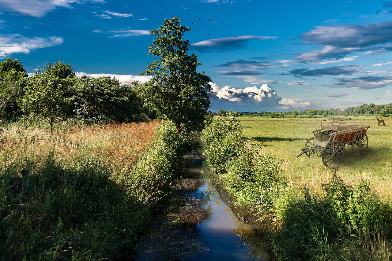 river  land  flowers free photo