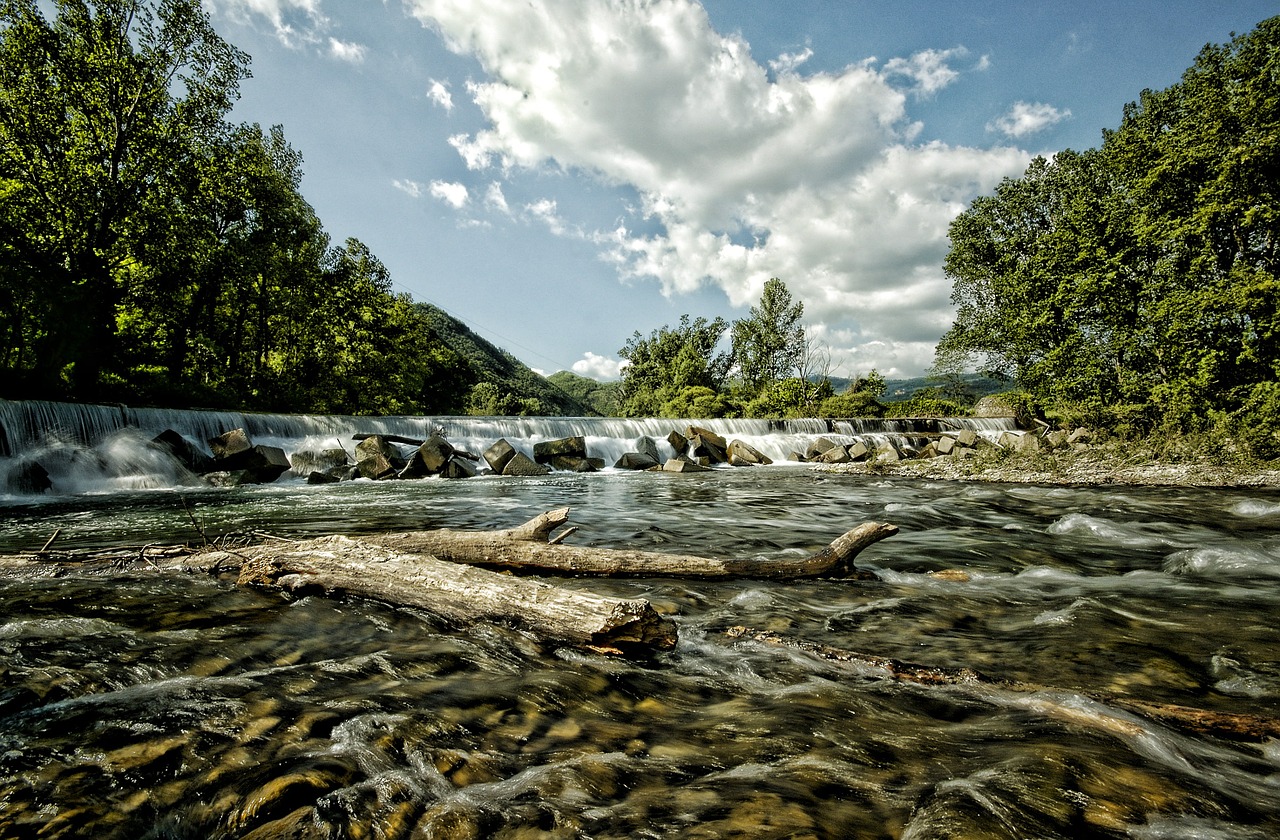 river trees clouds free photo