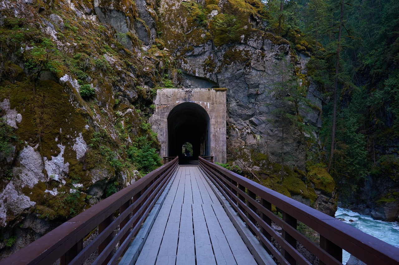 river  bridge  tunnel free photo