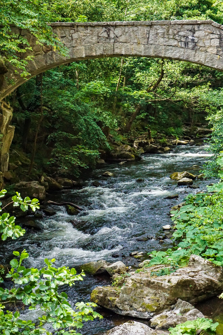 river  water  bridge free photo