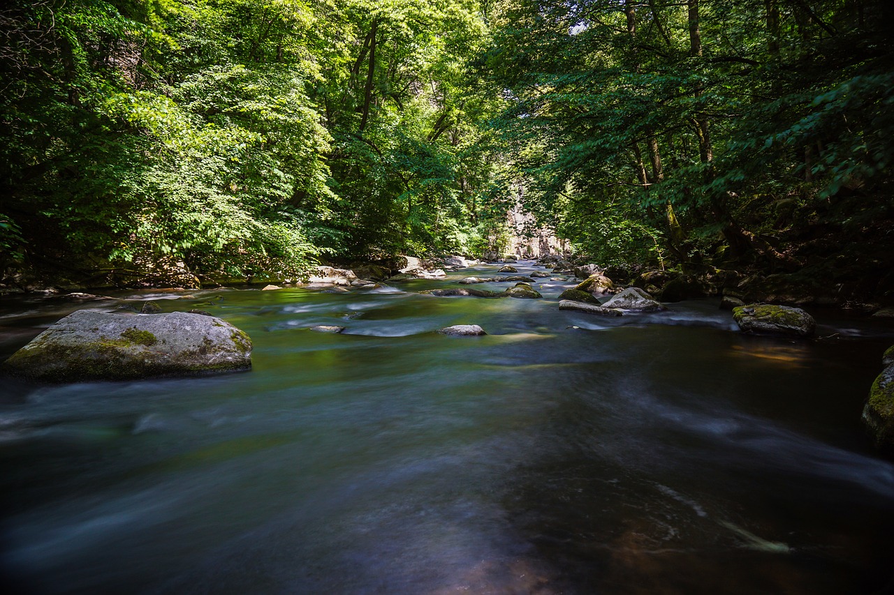 river  bach  waters free photo