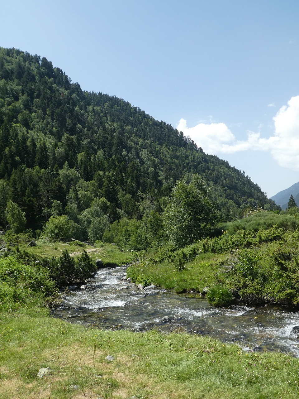 river  trees  mountain free photo