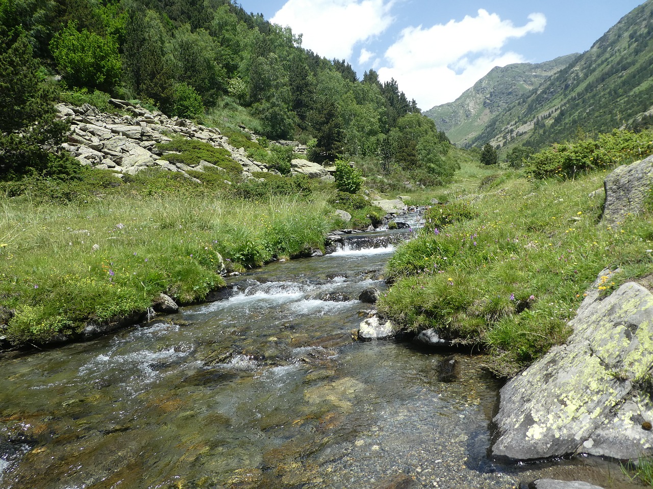 river  trees  mountain free photo