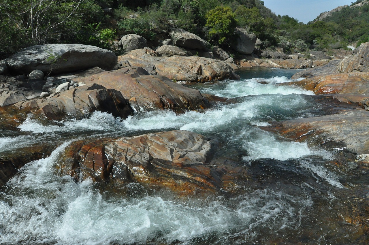 river  stream  rapids free photo