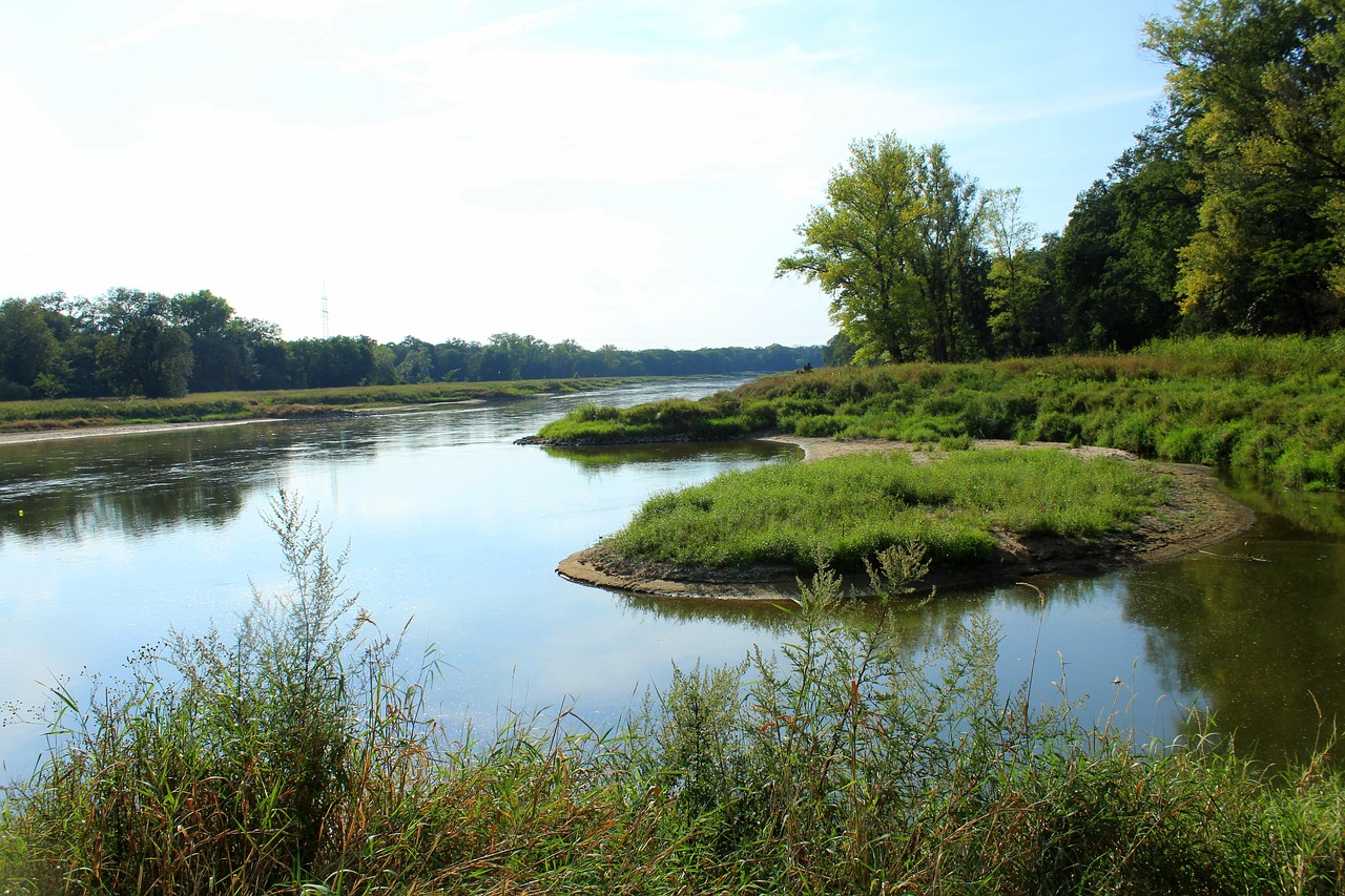 river  landscape  summer free photo