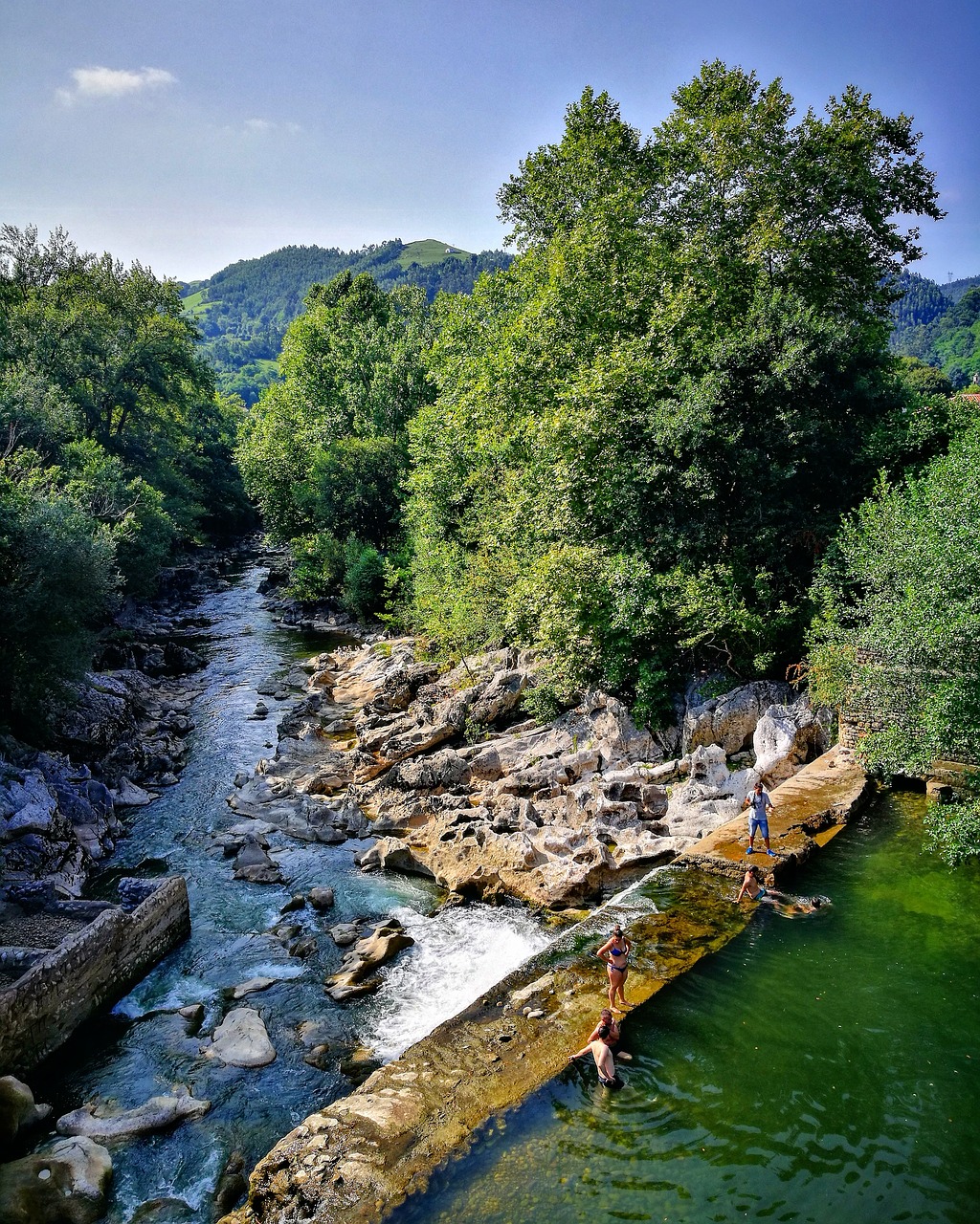 river  nature  trees free photo