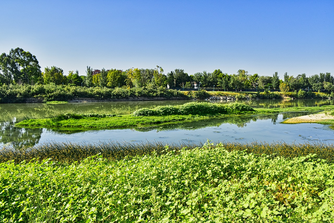 river  nature  water free photo