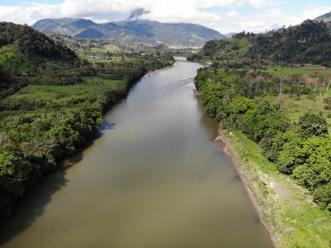 river  amazon  landscape free photo