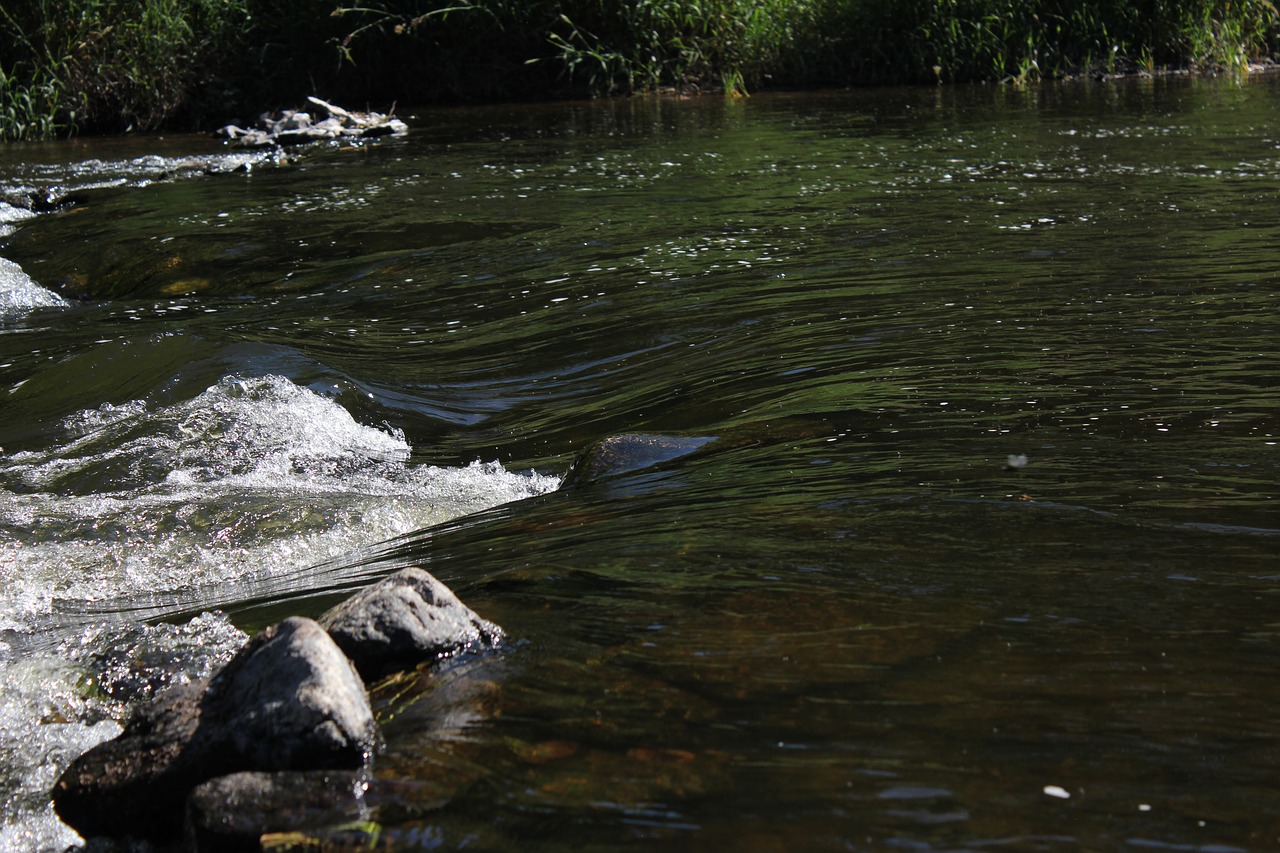 river  water  nature free photo