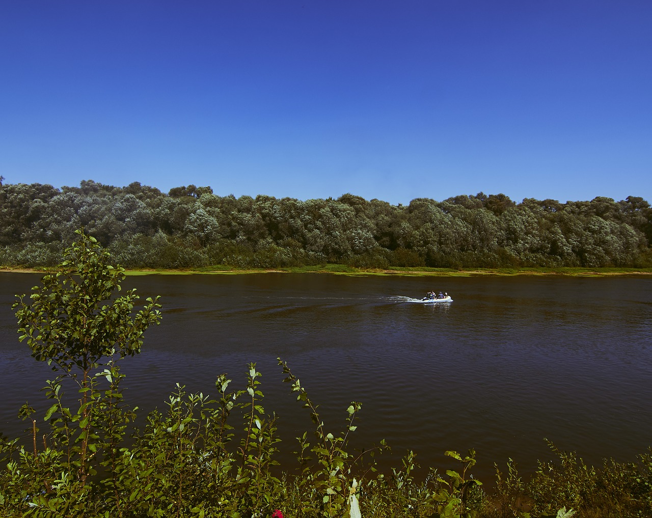 river  boat  nature free photo