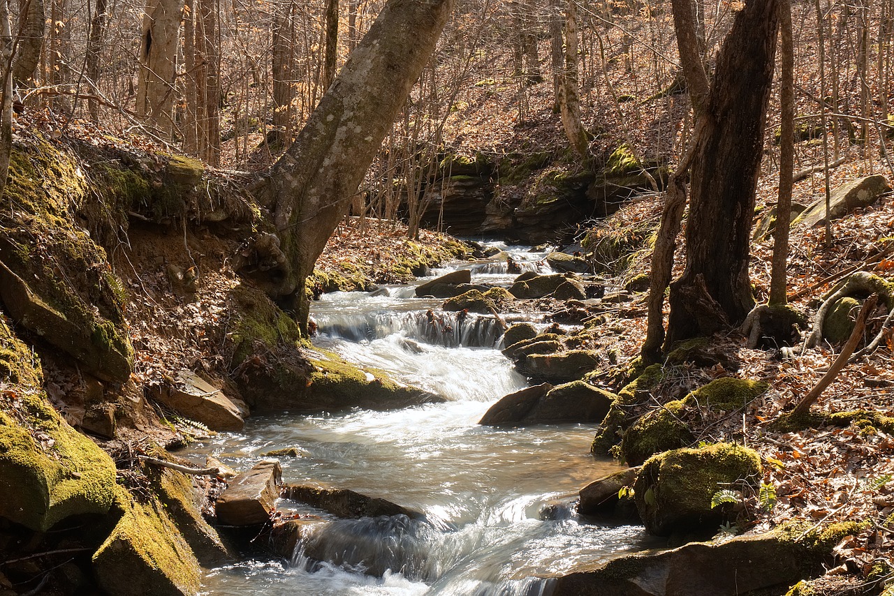 river  stream  nature free photo