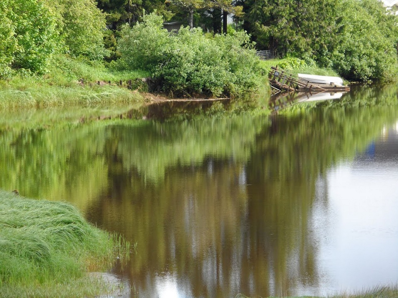 river reflections oregon free photo