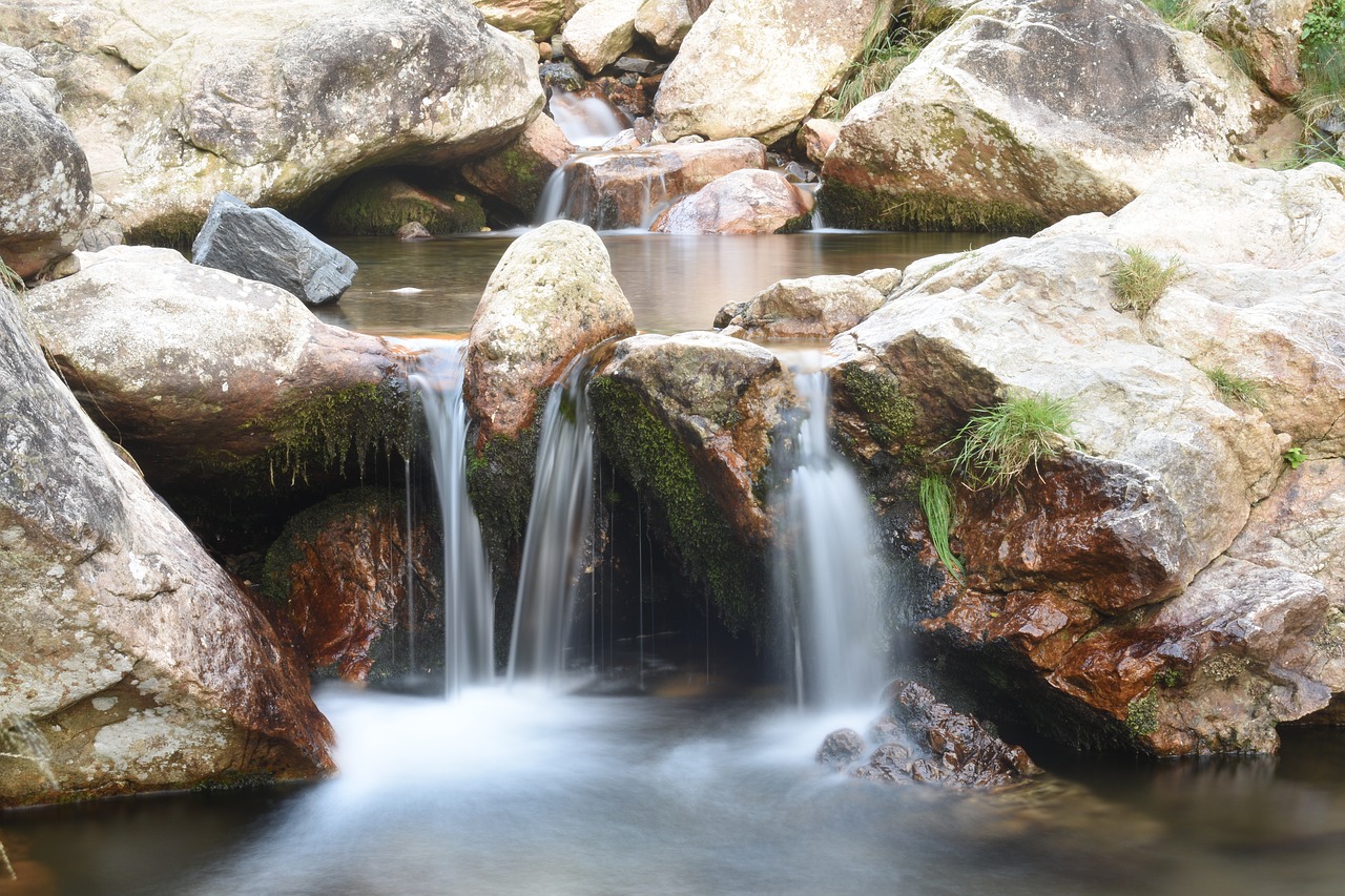 river  nature  brook free photo