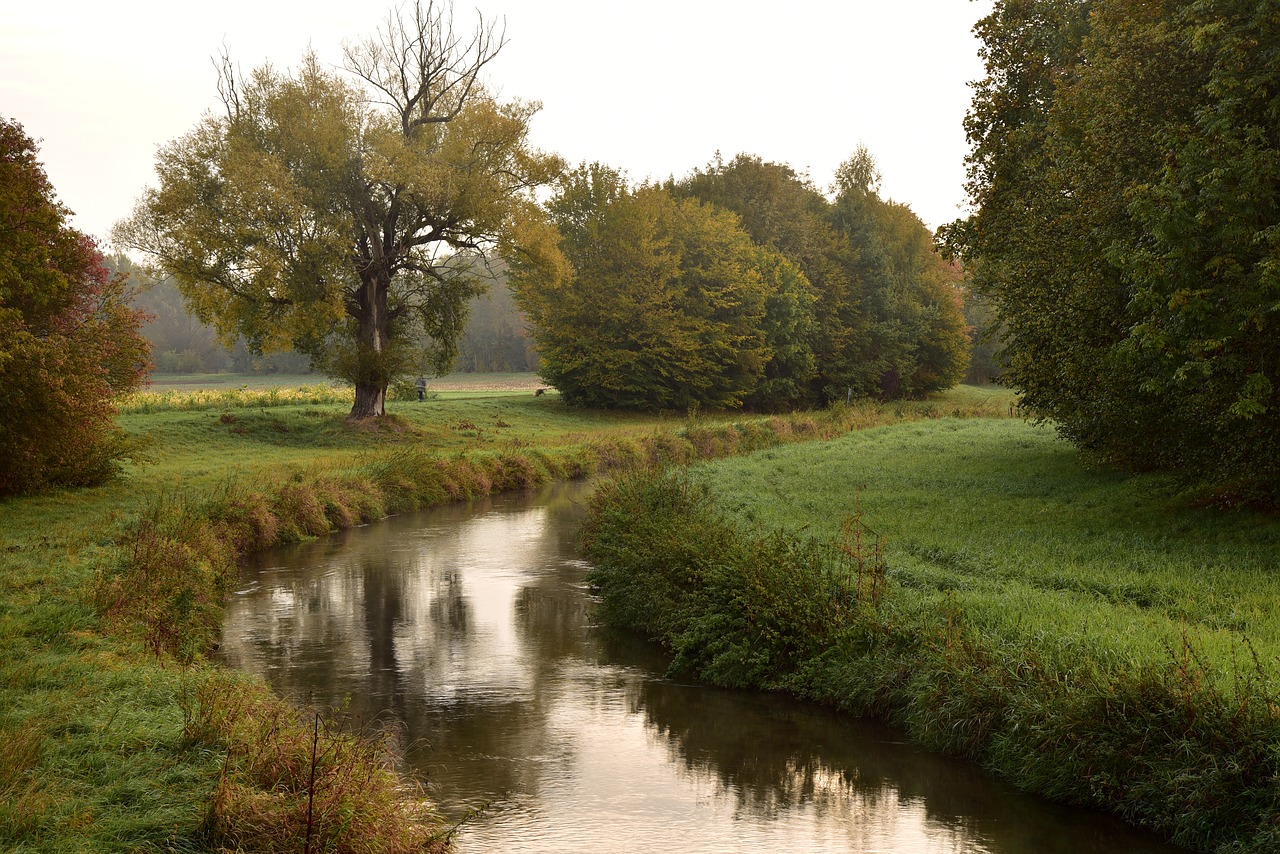 river  bach  flow free photo