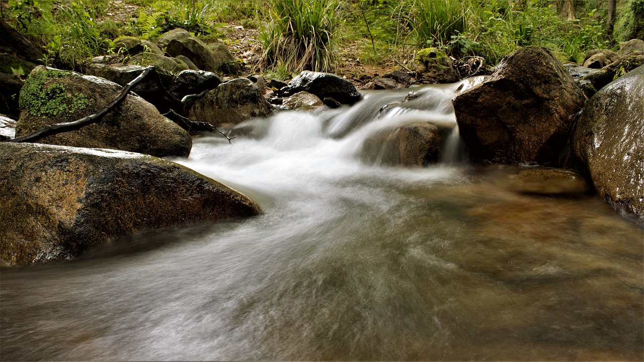 river  riera  natural park free photo