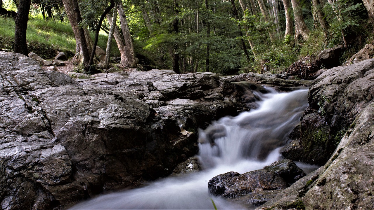 river  riera  natural park free photo