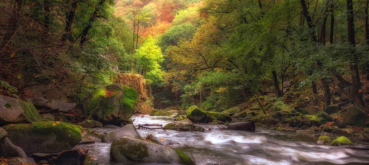 river  autumn  landscape free photo