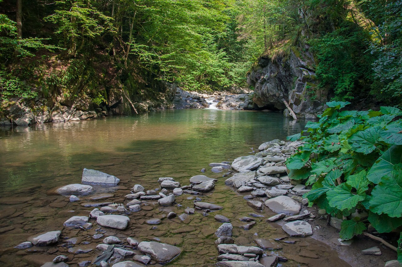 river  water  waterfall free photo