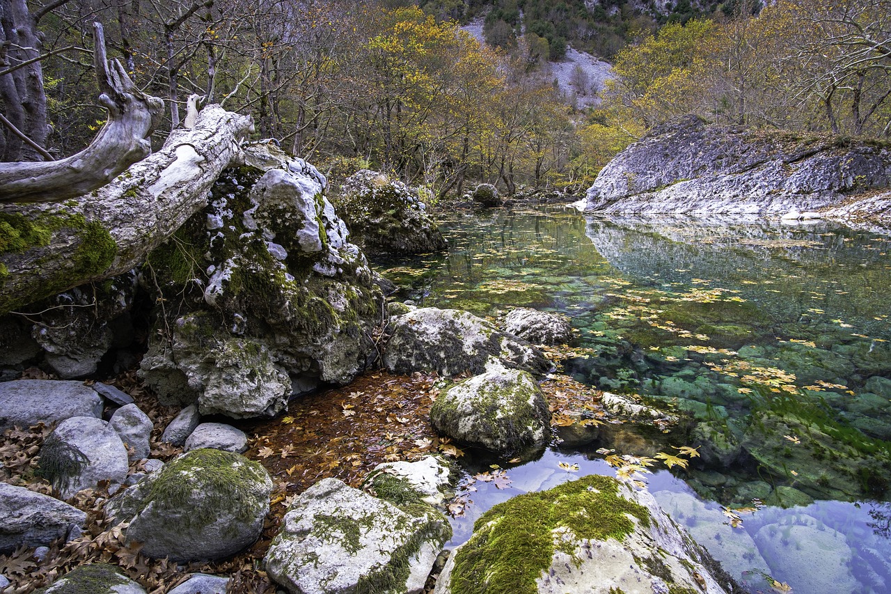 river  autumn  colors free photo