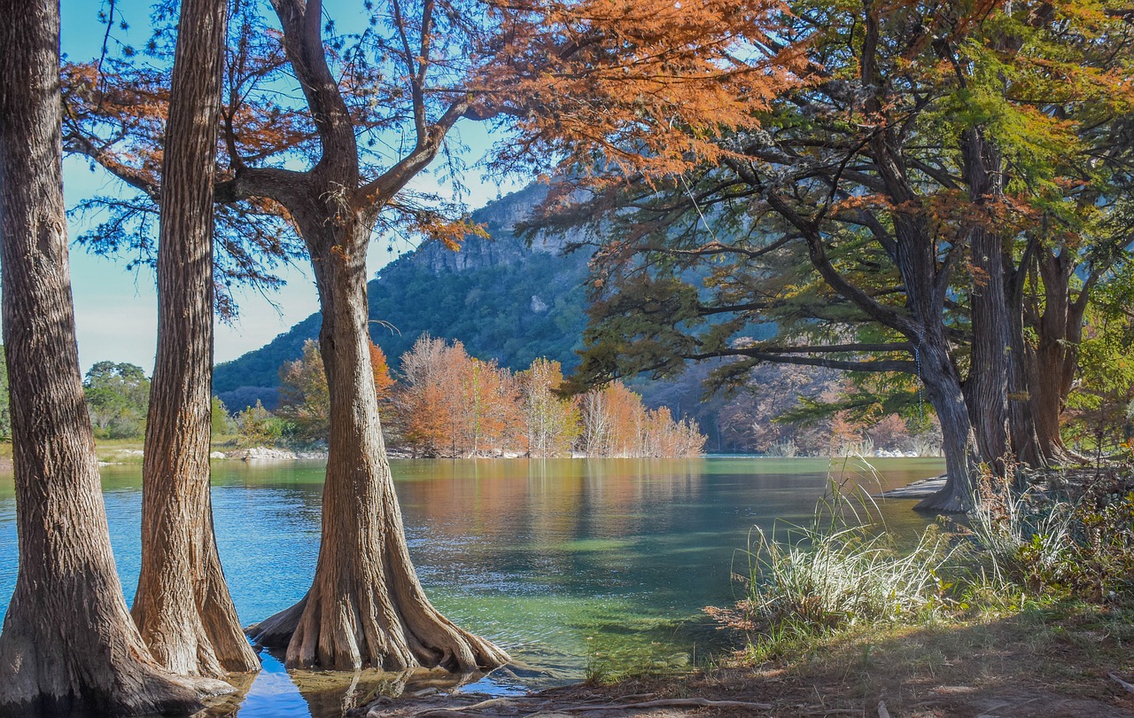 river  trees  nature free photo