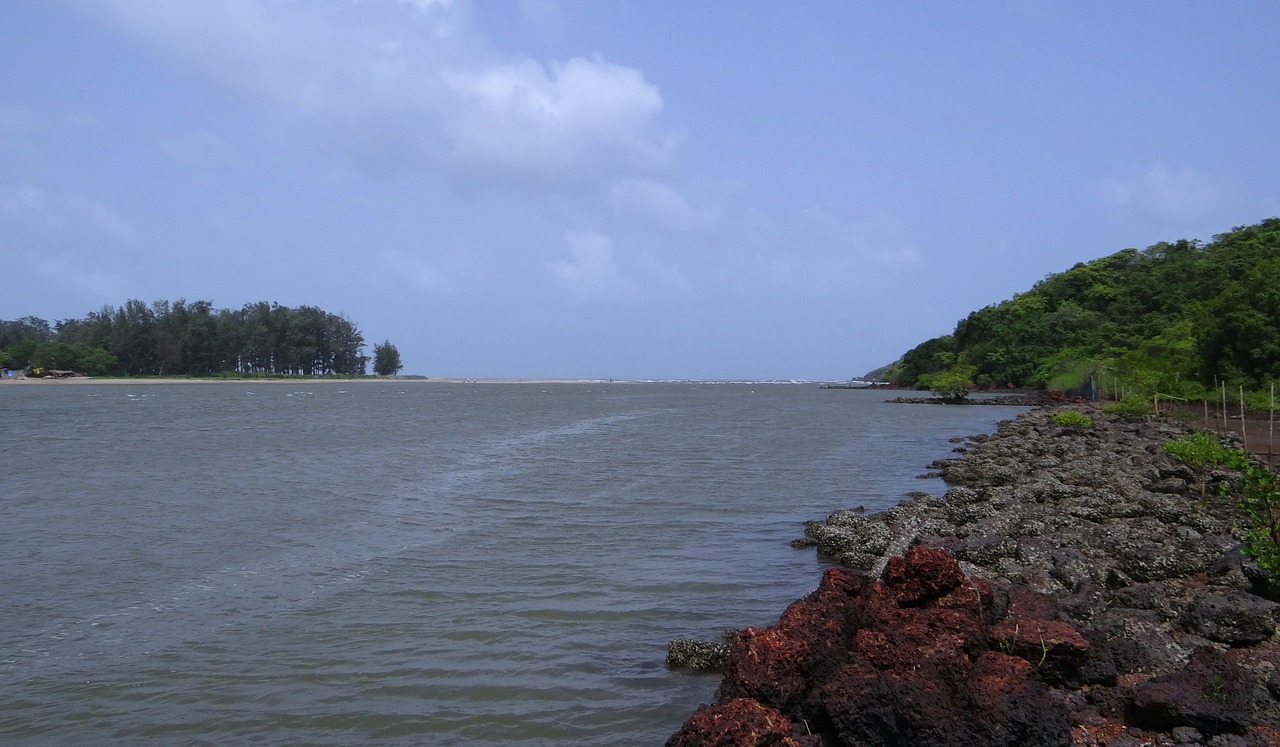 river estuary terekhol free photo