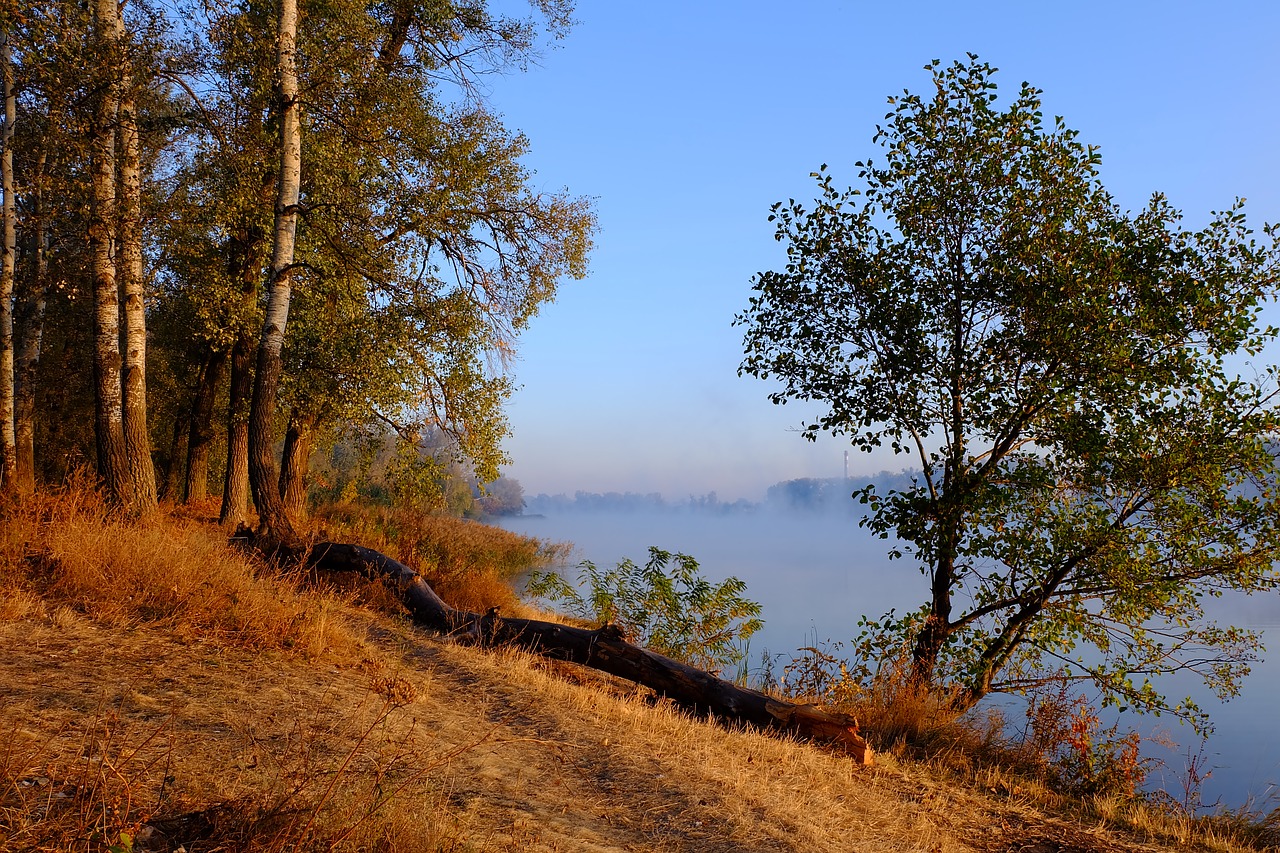 river  morning  dawn free photo