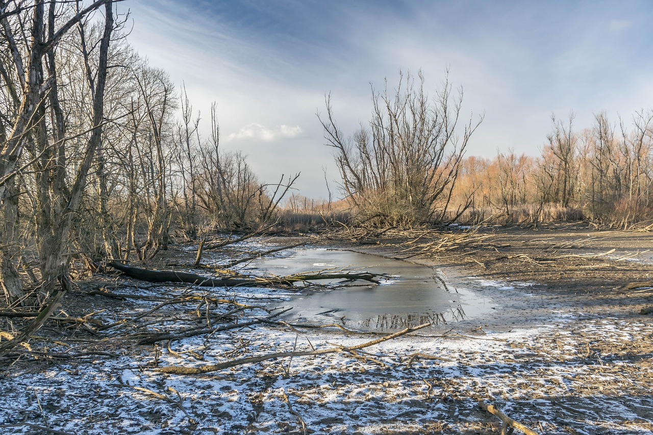 river  winter  landscape free photo