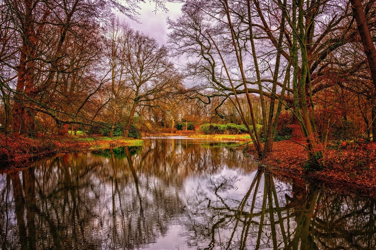 river  water  nature free photo