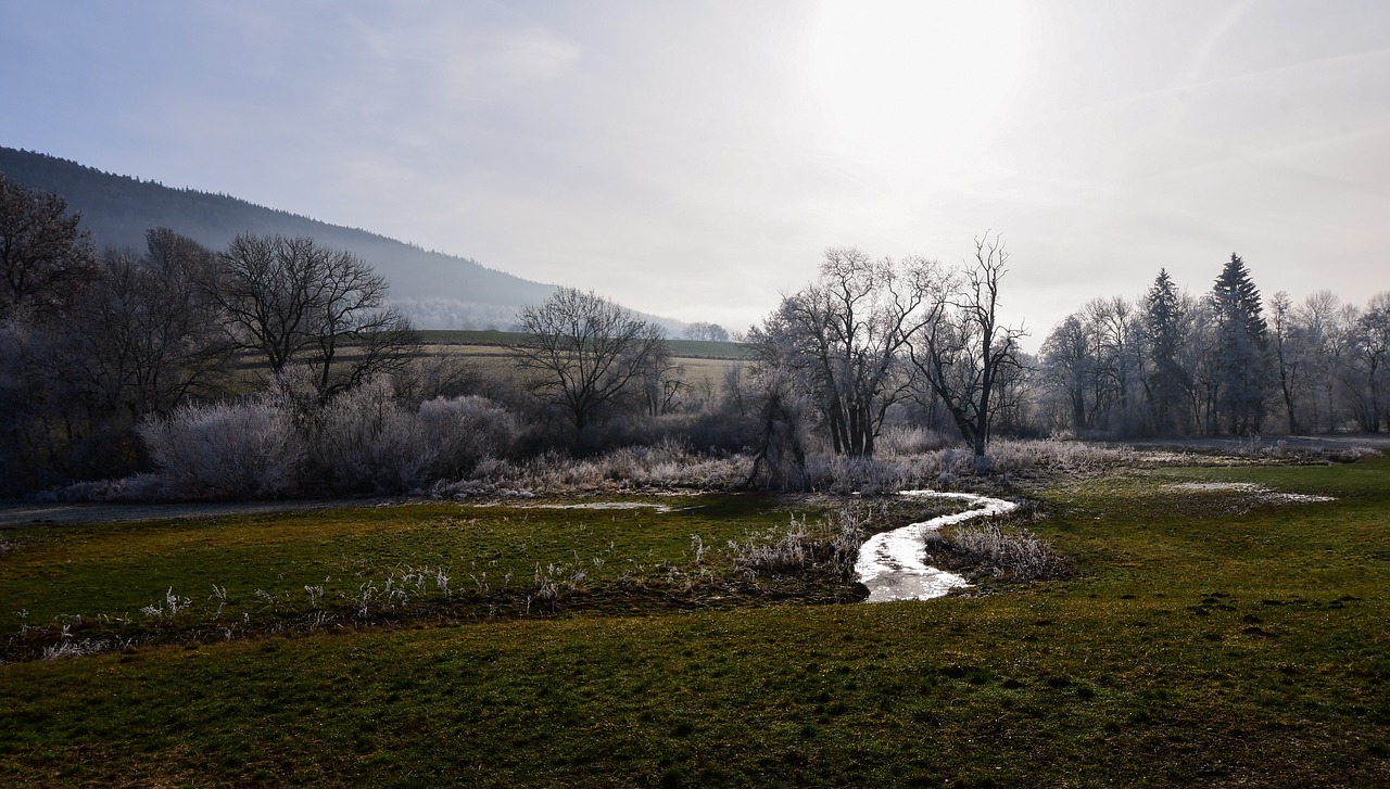 river  trees  frost free photo