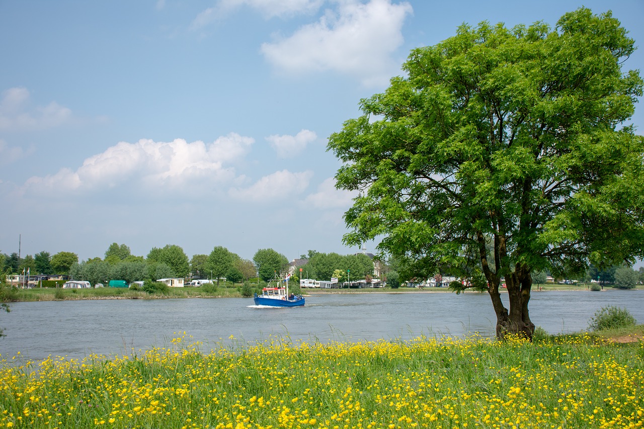 river  trees  boat free photo