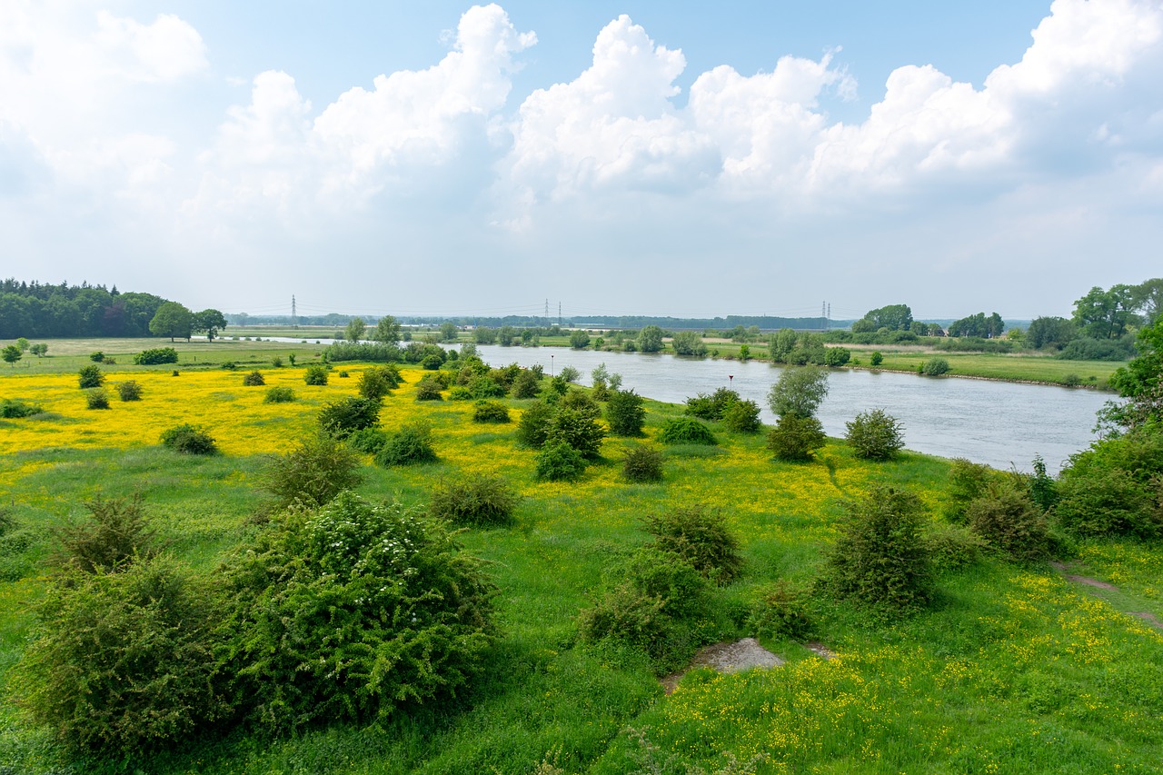 river  landscape  nature free photo