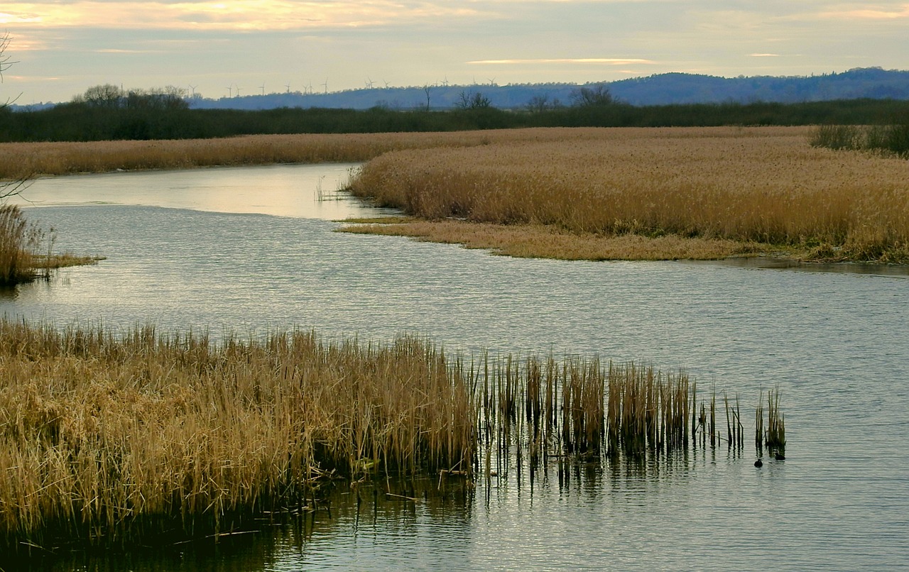 river  landscape  nature free photo