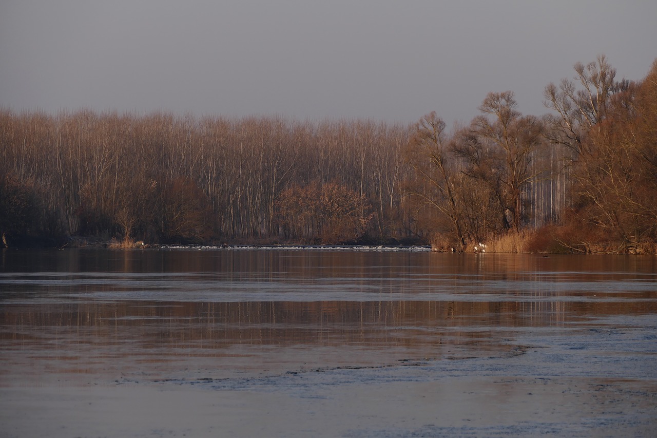 river  nature  water free photo