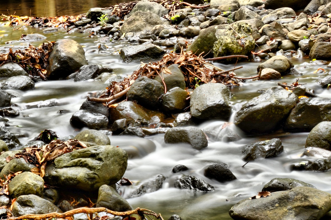 river  rock  water free photo